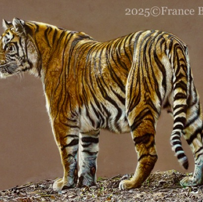 Edge of Extinction - 110 hours 
Brown Pastelmat board
19" x 27"
Golden Turtle Finalist 26